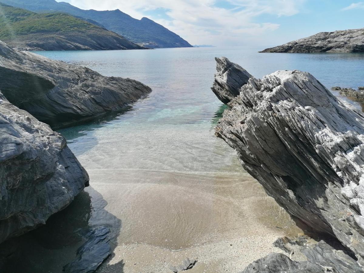 Logement De Charme Avec Piscine Privative Pino Dış mekan fotoğraf