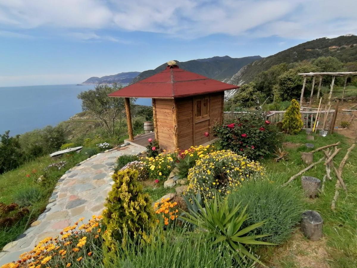 Logement De Charme Avec Piscine Privative Pino Dış mekan fotoğraf