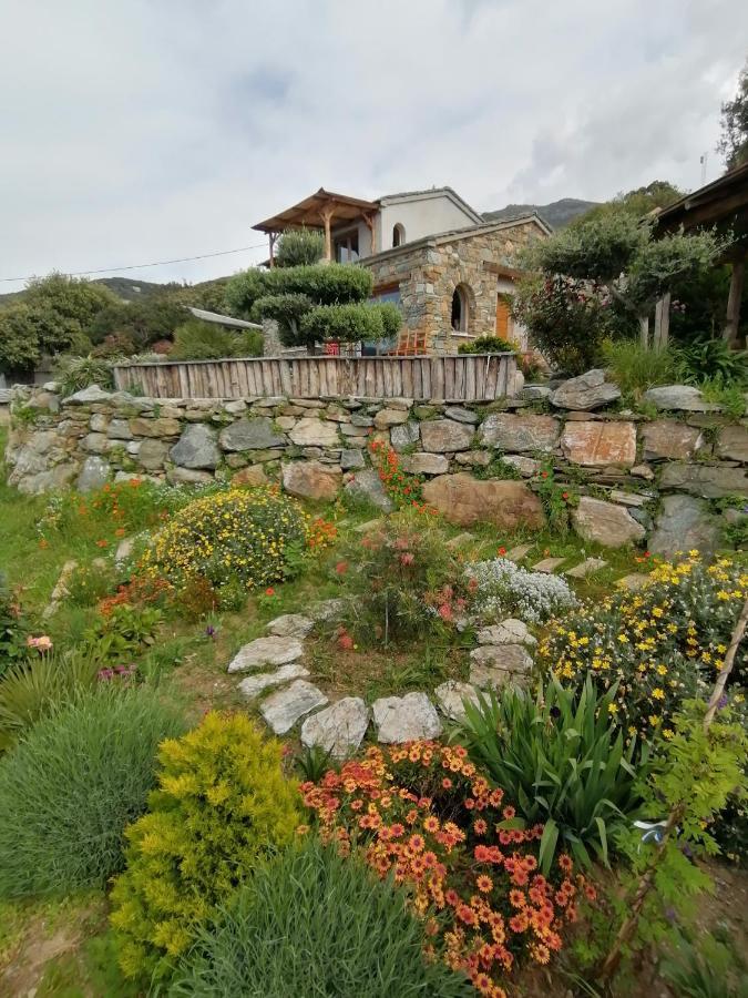 Logement De Charme Avec Piscine Privative Pino Dış mekan fotoğraf