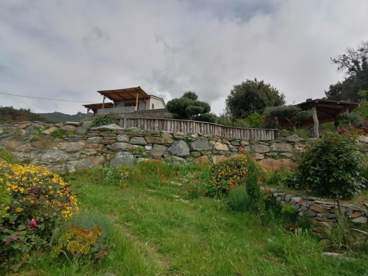 Logement De Charme Avec Piscine Privative Pino Dış mekan fotoğraf