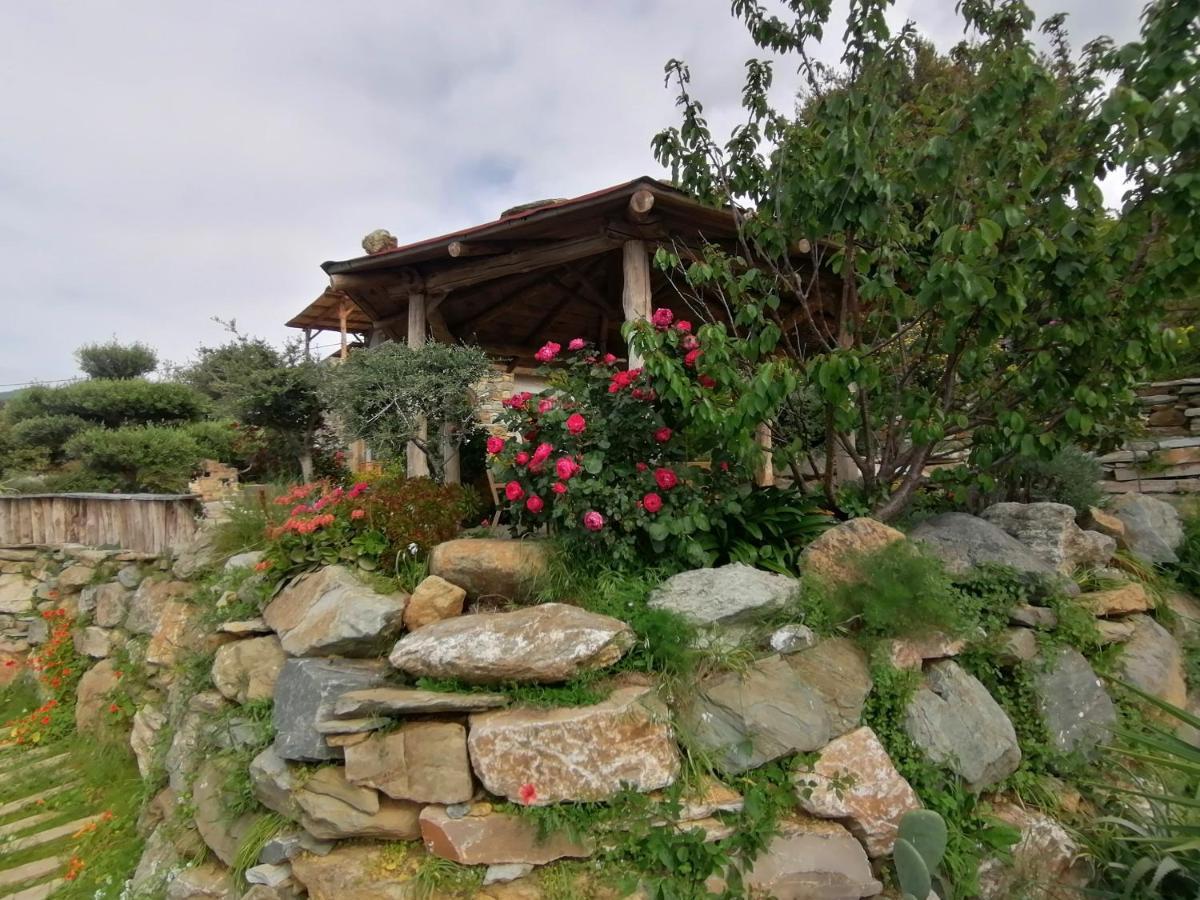 Logement De Charme Avec Piscine Privative Pino Dış mekan fotoğraf