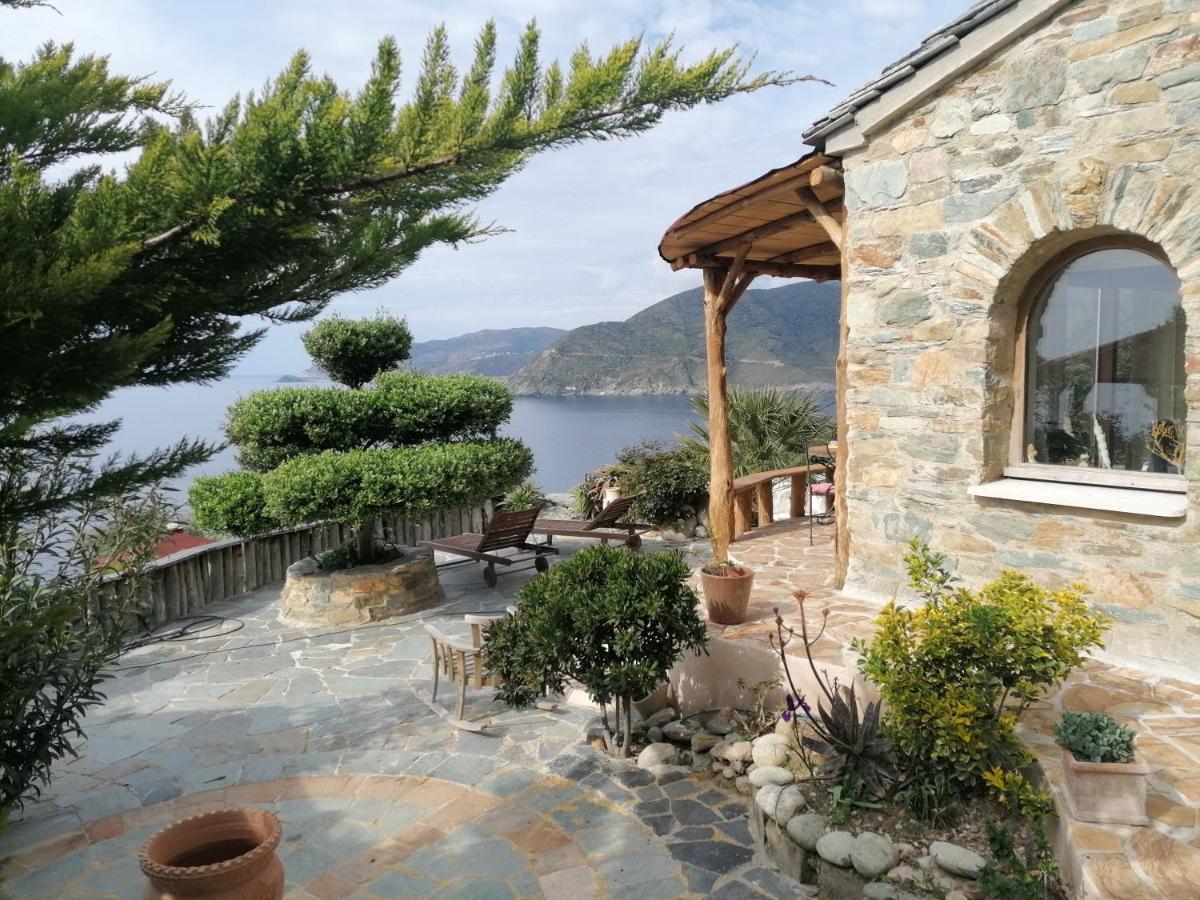 Logement De Charme Avec Piscine Privative Pino Dış mekan fotoğraf