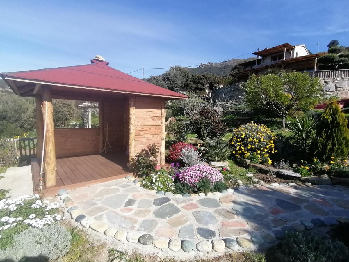 Logement De Charme Avec Piscine Privative Pino Dış mekan fotoğraf