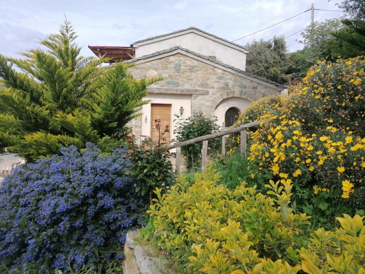 Logement De Charme Avec Piscine Privative Pino Dış mekan fotoğraf
