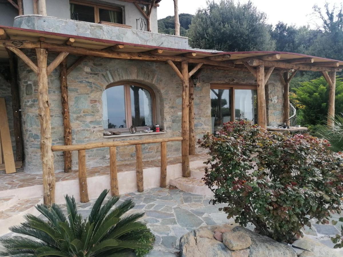 Logement De Charme Avec Piscine Privative Pino Dış mekan fotoğraf