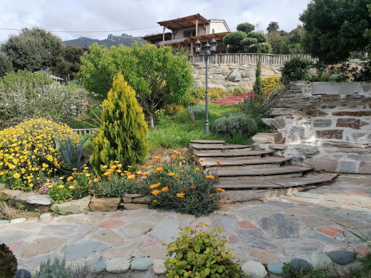 Logement De Charme Avec Piscine Privative Pino Dış mekan fotoğraf